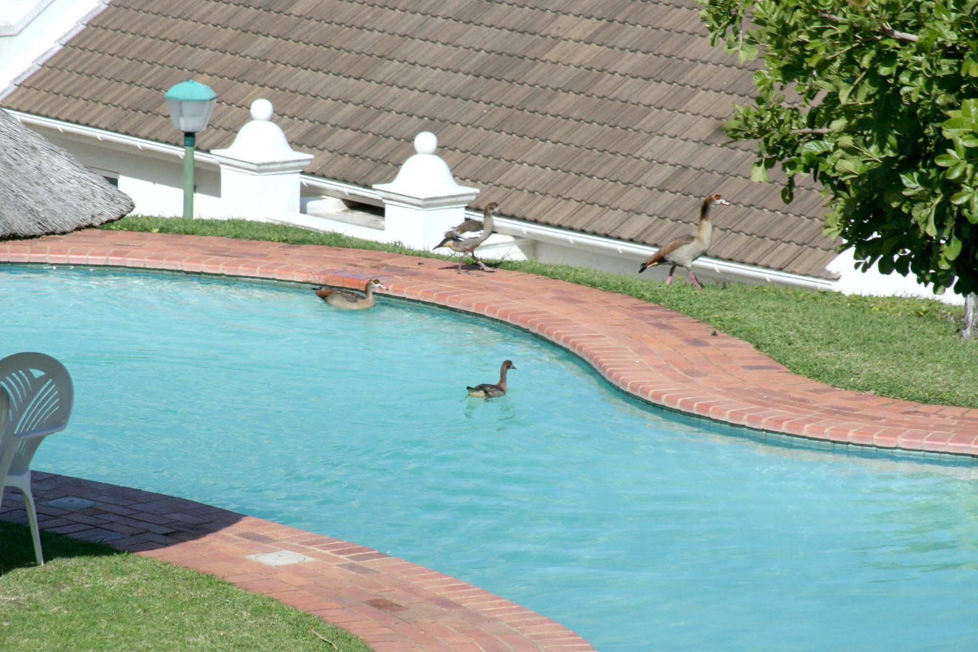 The Estuary Hotel & Spa Port Edward Esterno foto